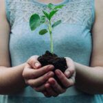 Humà, terra i planta