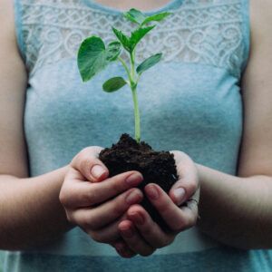 Humà, terra i planta