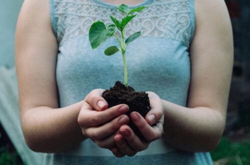 Humà, terra i planta